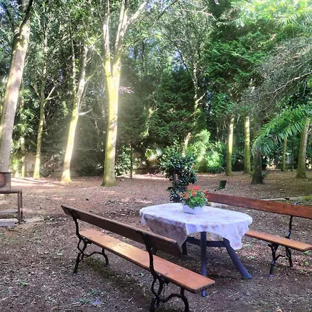 Oasis Ponte San Lazaro