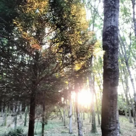 Rum i privatbostad Oasis Ponte San Lazaro Santiago de Compostela