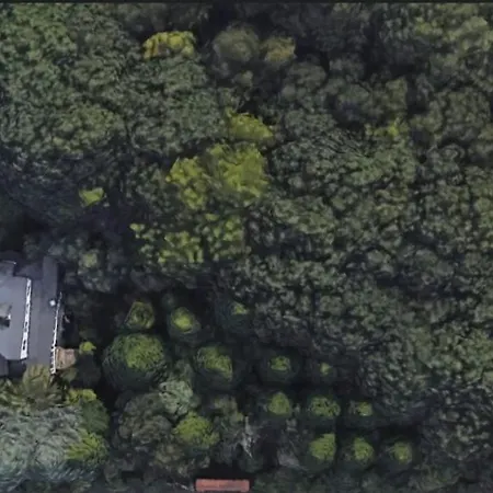 Rum i privatbostad Oasis Ponte San Lazaro