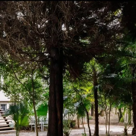Oasis Ponte San Lázaro Habitación en casa particular Santiago de Compostela