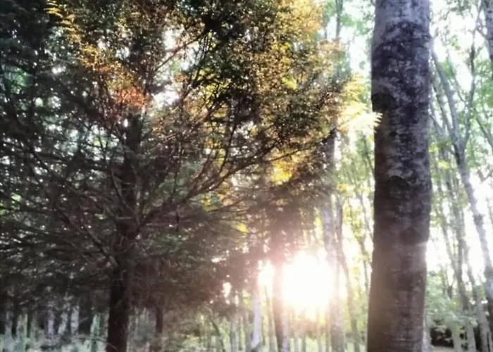 Alloggio in famiglia Oasis Ponte San Lázaro San Giacomo di Compostella