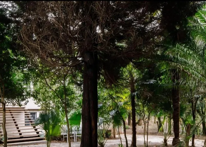 Oasis Ponte San Lazaro Kwatera prywatna Santiago de Compostela